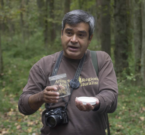 an instructor with a camera and shirt with text "Arlington Regional Master Naturalists" showing a frog in a jar