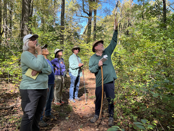 a nature walk leader points out trees to the group