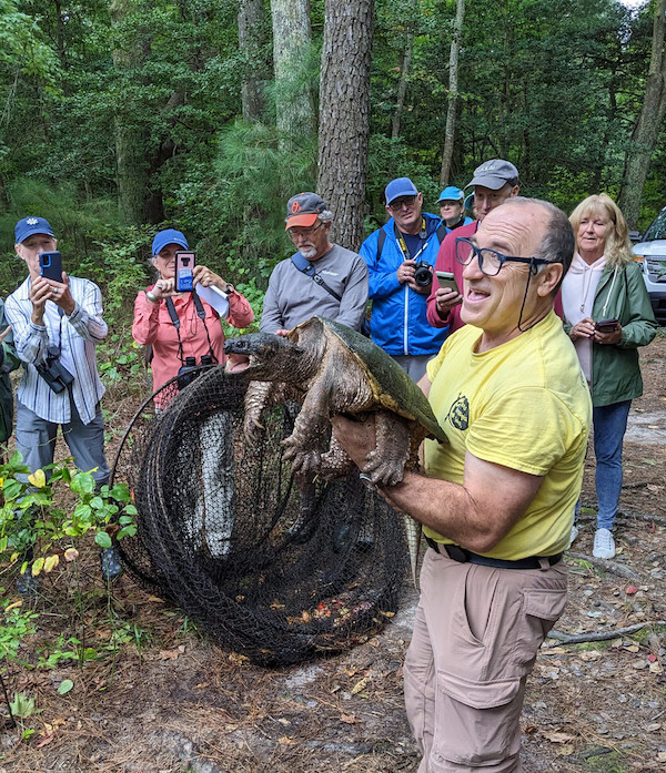 person holding a large snapping turtle while group of seven people watch and take photos with their cell phones