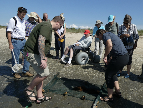 nine people on a beach, looking at what has been caught in a net