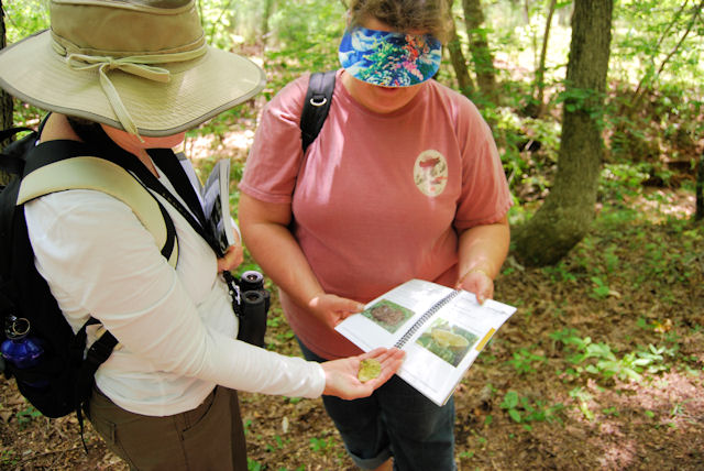 two people in a forest, looking at a field guide