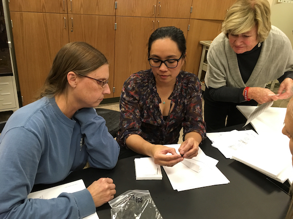 three people at a lab table, looking at an insect