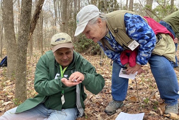 a person sitting on the ground in a forest holding leaf while another person stoops over to look at what he is holding. Both people are wearing VMN volunteer name tags.