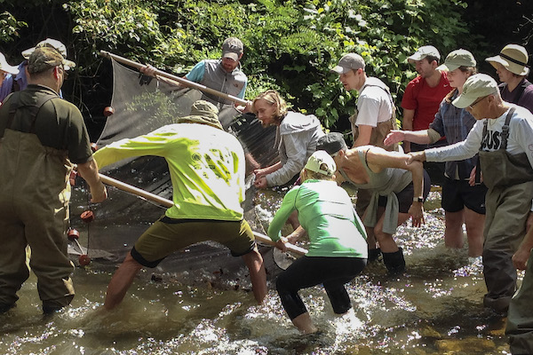 group of a dozen people working together in a stream to use a kick net