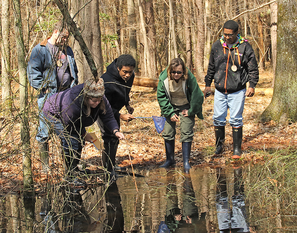 five volunteers standing next to a pond, peering into the water. One volunteer is holding an aquatic dip net and another is pointing at something in the water with a stick