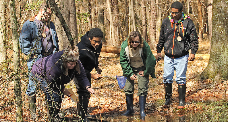 five volunteers standing next to a pond, peering into the water. One volunteer is holding an aquatic dip net and another is pointing at something in the water with a stick