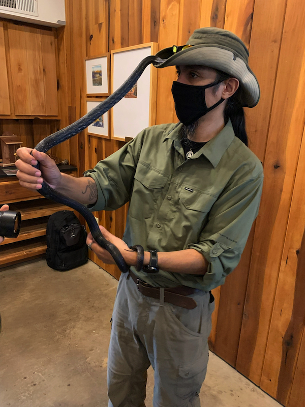 person holding a snake that is reaching upwards from his arm to his hat