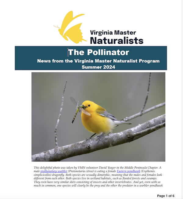 cover page of The Pollinator, News from the Virginia Master Naturalist Program, Summer 2024 with photo of a yellow bird eating a green dragonfly