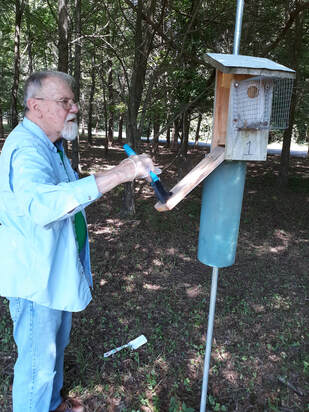 volunteer cleaning out a bird house