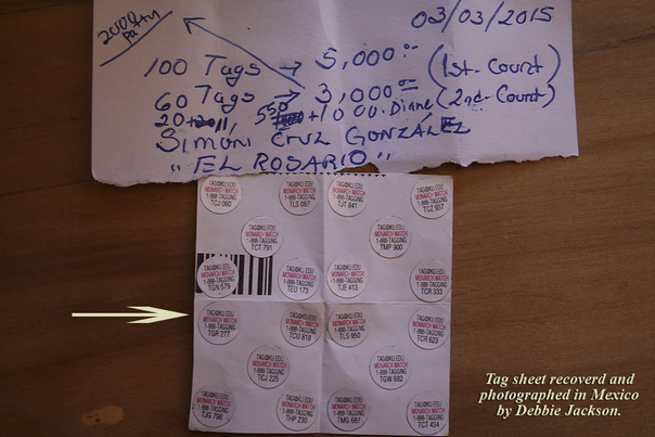 image of 20 monarch tags from Mexico