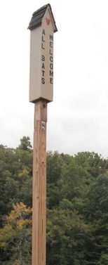 bat house on a tall pole