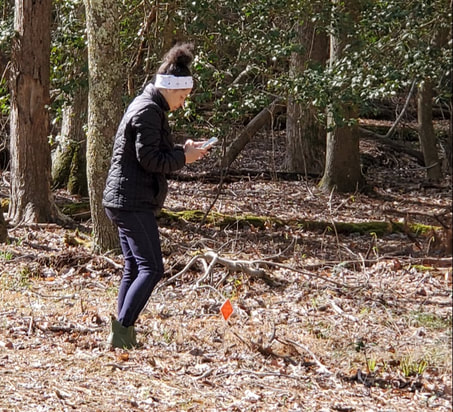person with cell phone in the forest