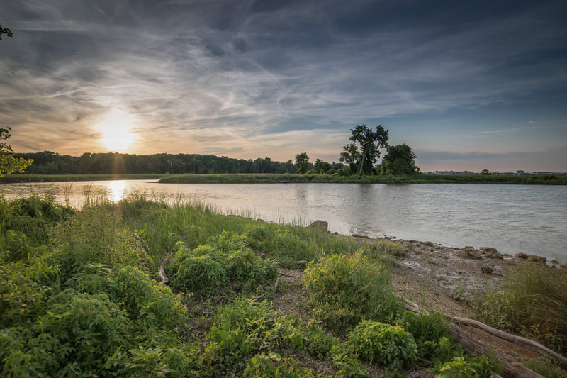 Sunset in background; low, green plants in foreground alongside open water