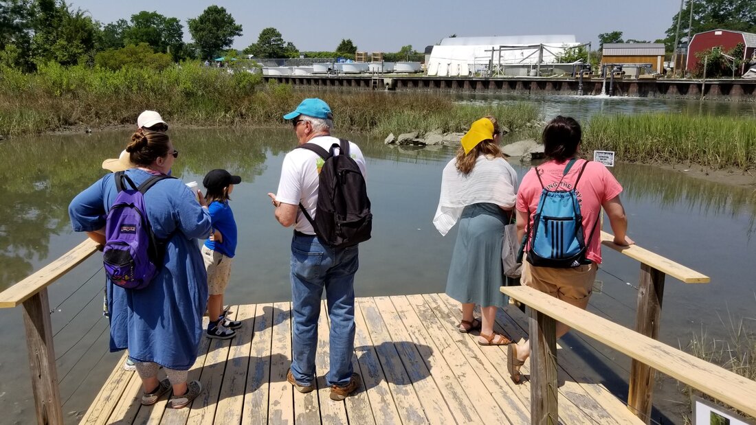 volunteer standing with a family on a dock, looking at a marsh