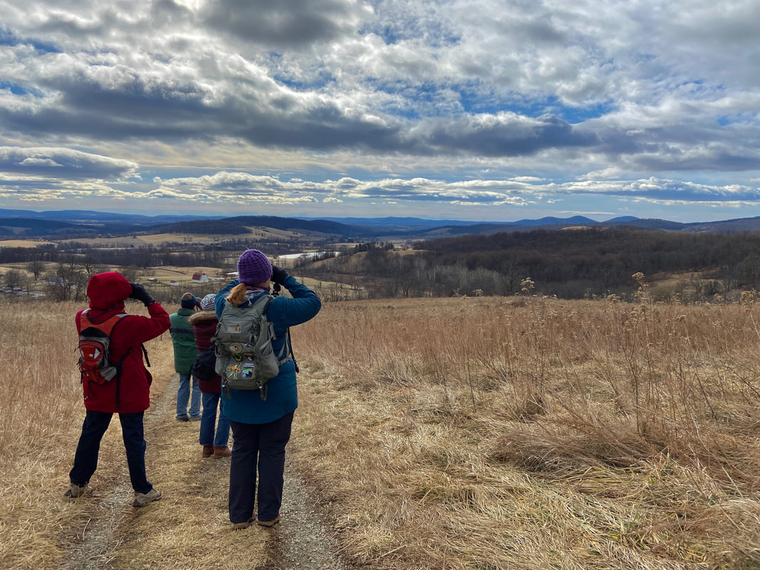 four people look through binoculars at a landscape of rolling hills and fields