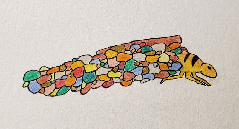 yellow caddisfly larva in case of multicolored stones