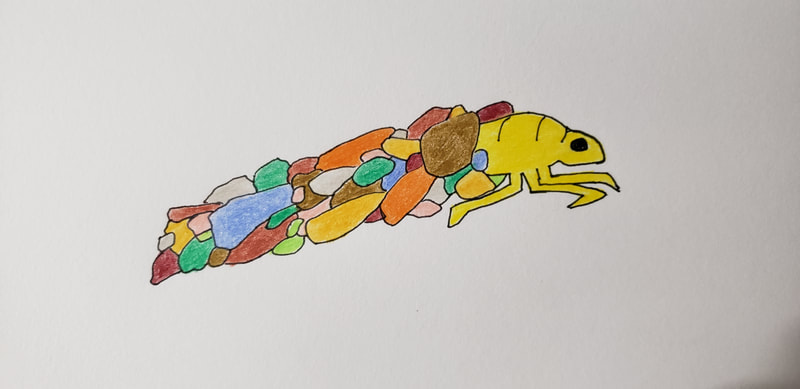yellow caddisfly larva in case of multicolored stones