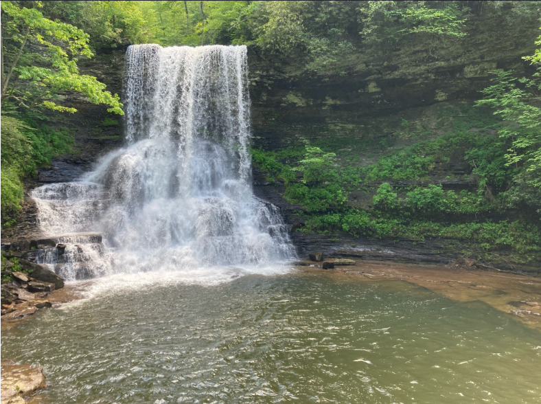 waterfall tumbling into pool surrounded by rocky cliffs with plants