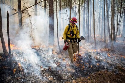 person in fire protection gear using a drip torch to set a controlled fire