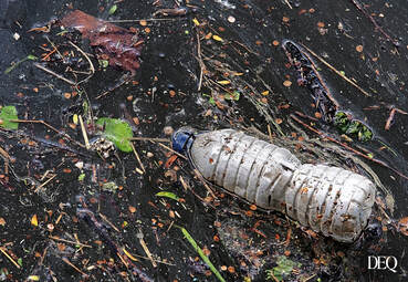 discarded plastic bottle floating in water