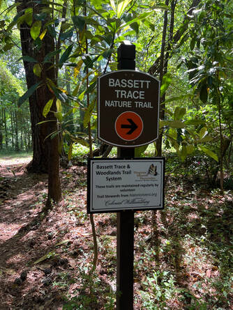 Bassett Trace Nature Trail in Colonial Williamsburg.