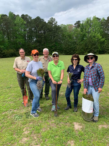 group of six people in Virginia Department of Forestry, Virginia Master Naturalist, and Isle of Wight County shirts, holding pine tree seedlings