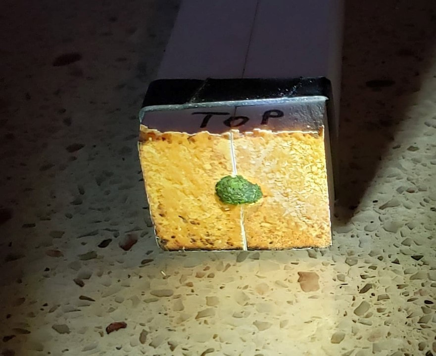 bee hotel will green plug on the end