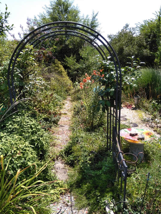 photo of a walkway through a flower garden, with a metal arbor