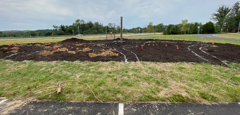 newly cleared area for a garden