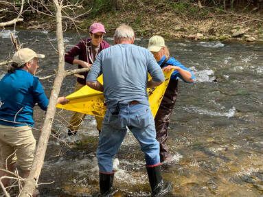 four people in a rushing stream examining a yellow yet full of insects and debris