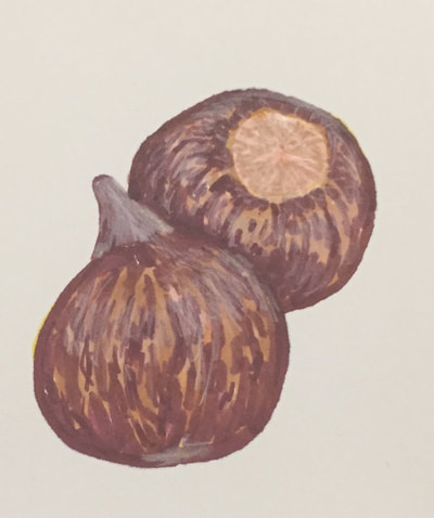 Two brown chestnuts