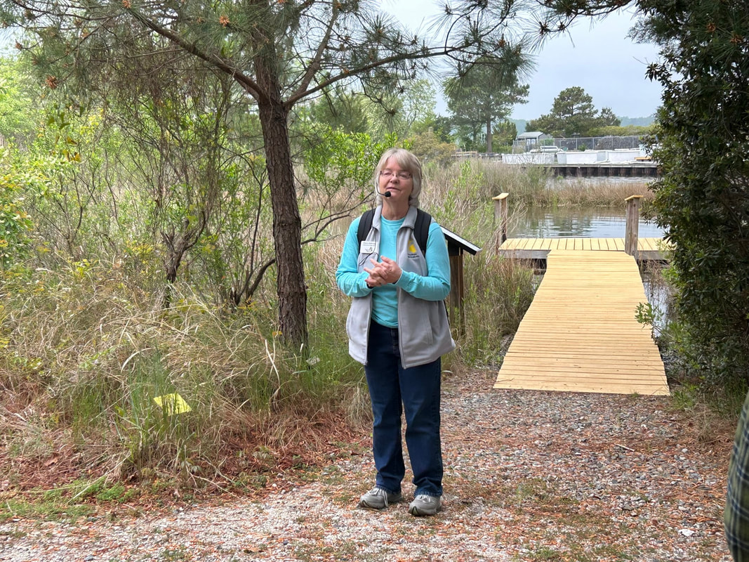 Instructor standing by a marsh