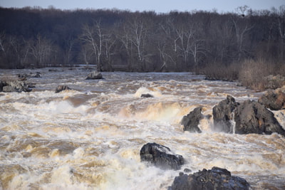 Rushing river with lots of whitewater flowing over rocks.  Trees in background.