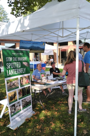 volunteers at a display about spotted lanterfly talk to visitors