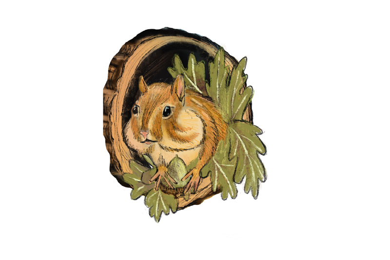 chipmunk with full cheeks inside a log