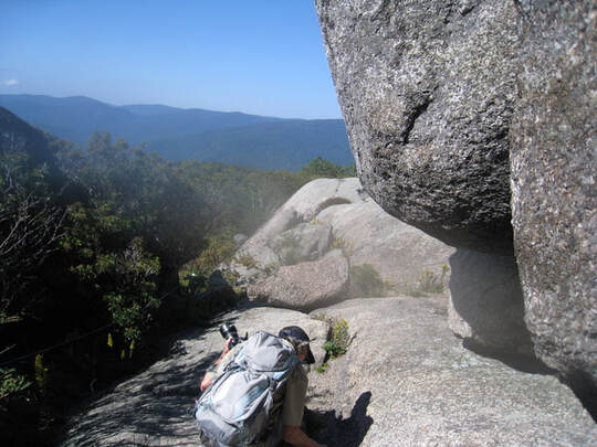 person stooped to look at a plant on a steep rocky mountainside