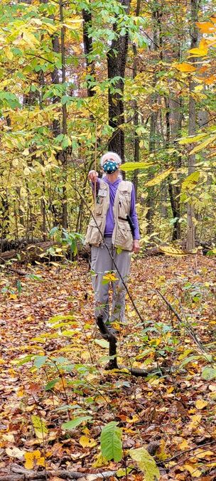 photo of person measuring a tree in a forest