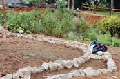 rocky path in garden