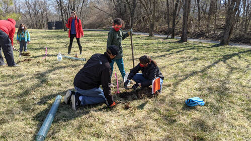 people planting a tree