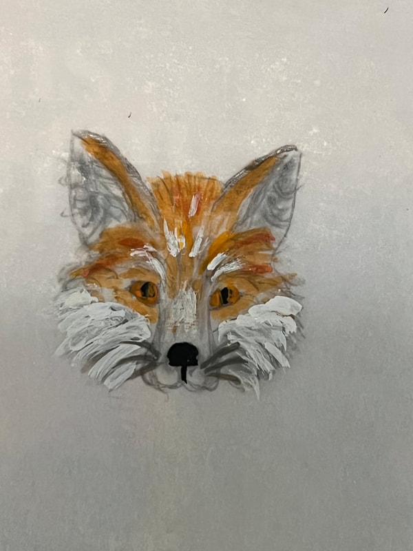 Red fox face