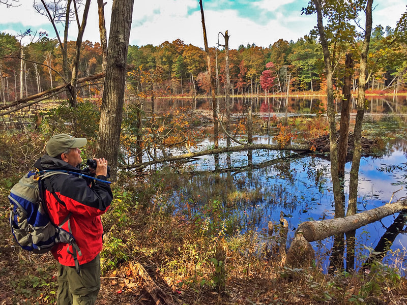 Man in red jacket and backpack stands with binoculars, looking out over a pool of water with autumn colors in surrounding trees