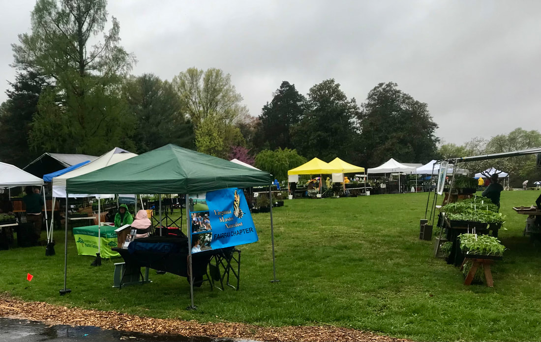 pop-up canopies and tables set up in a field with educational displays