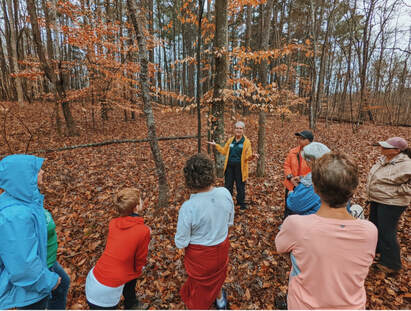 Person leading nature walk in the woods