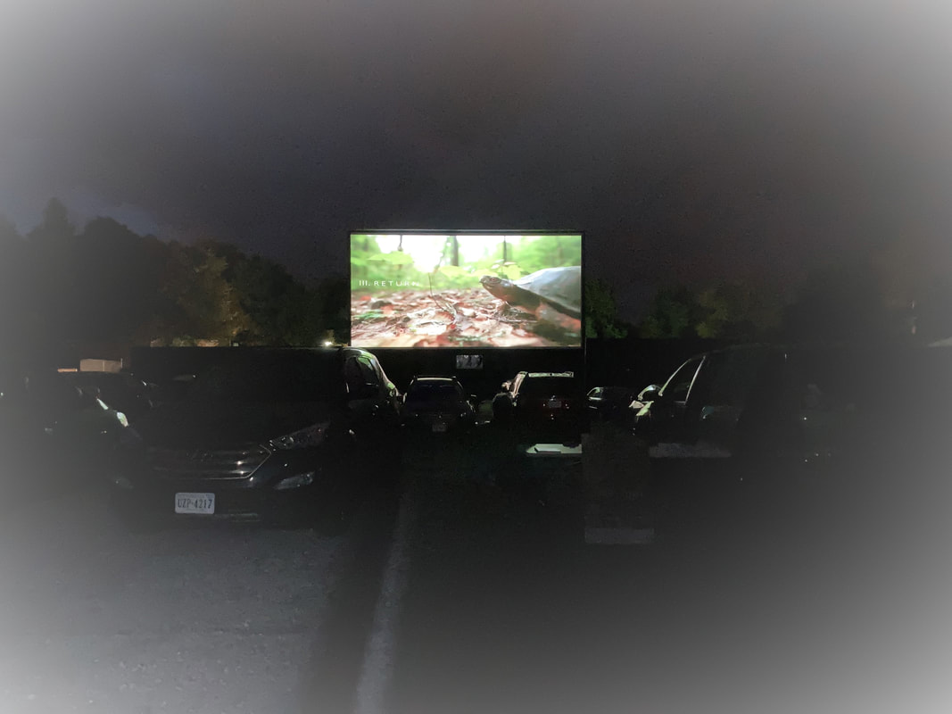 cars lined up at a drive-in movie, with a close-up of a turtle on the movie screen