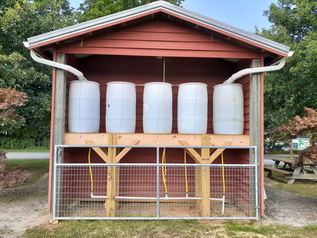 water catchment system with gutters from shed roof emptying into five water barrels 