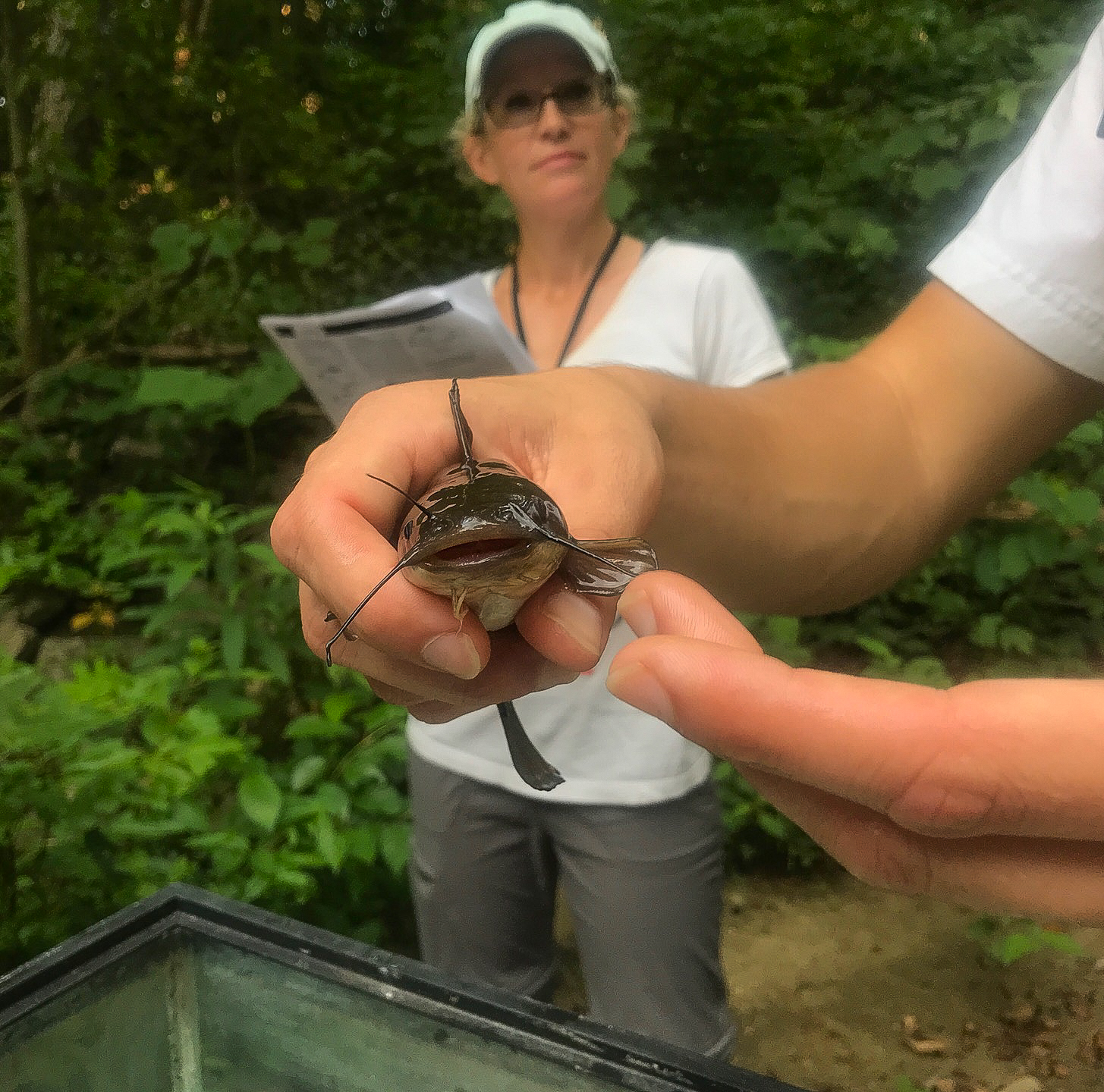 person holding a fish while another person stands behind looking at an ID guide