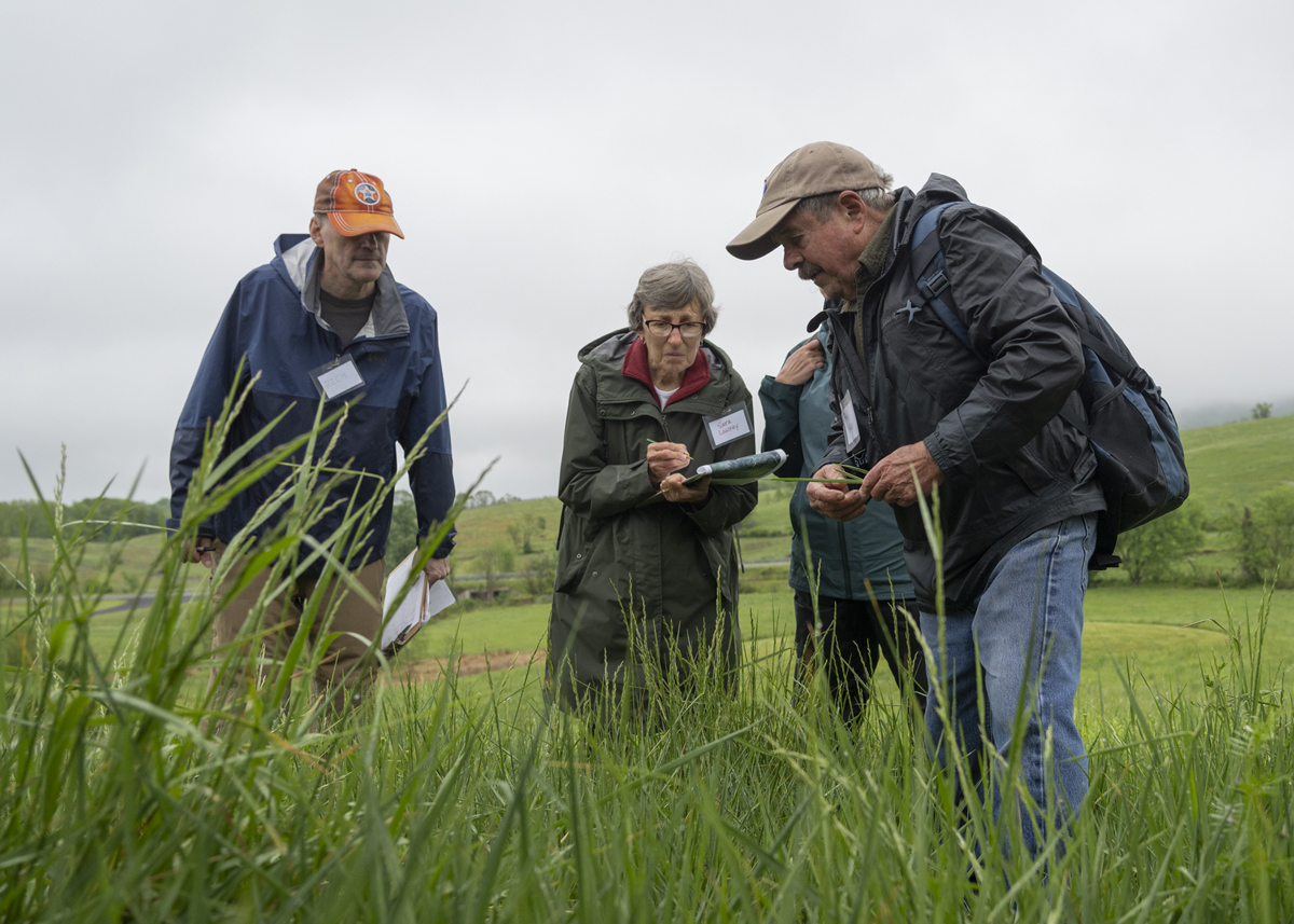 four people with clipboards, making observations in a grassy field